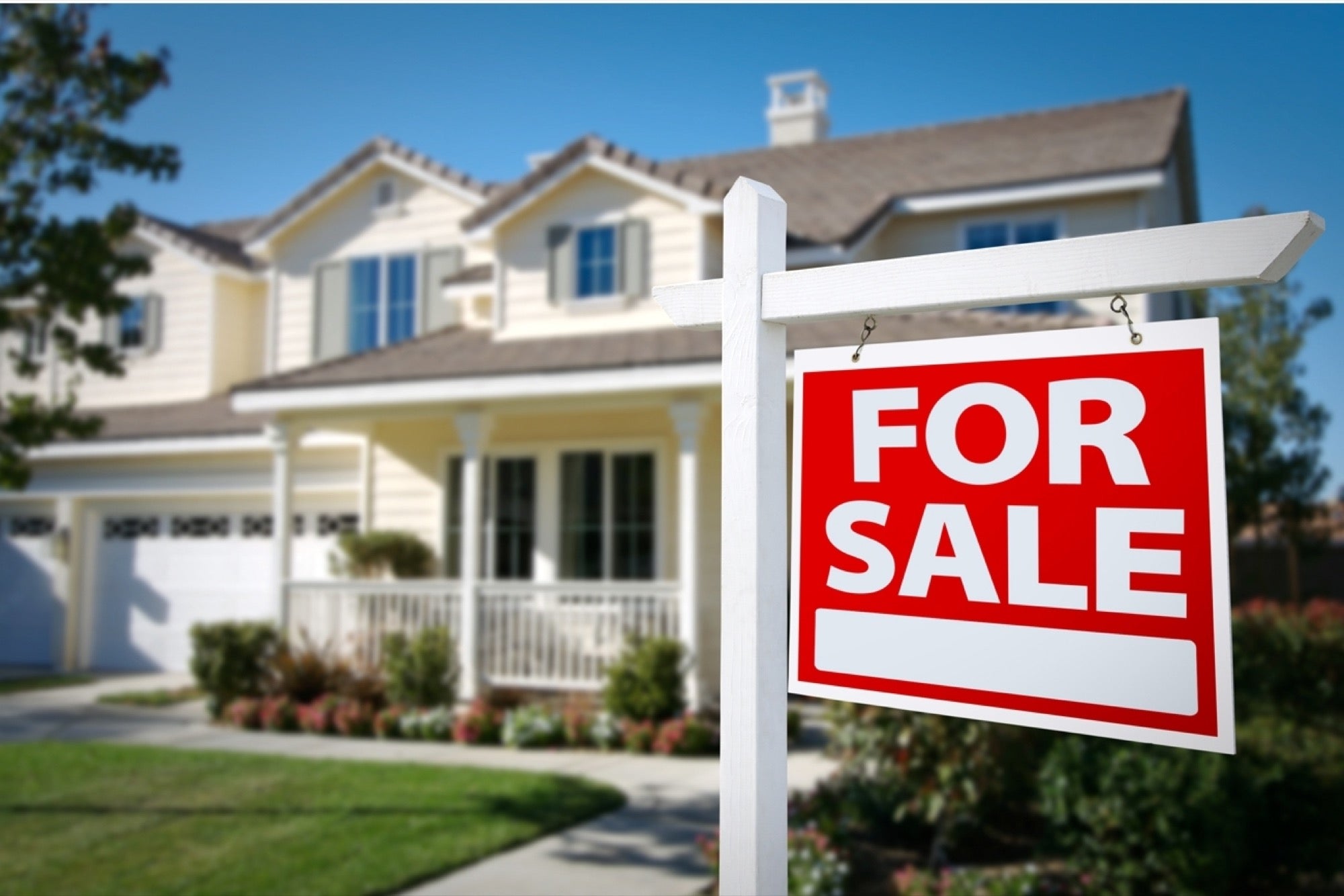 Immobilier